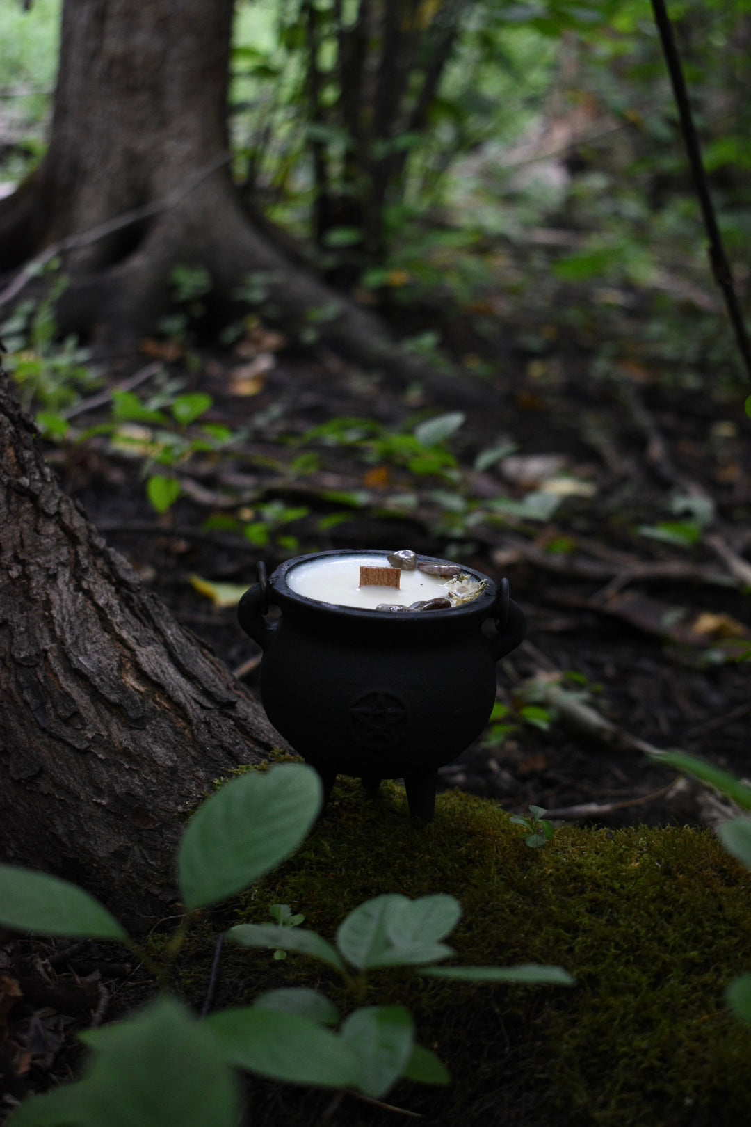 Autumnal Equinox Cauldron Candle | Green Tea + Warm Cedar 🍂