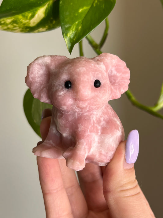 Pink Opal Koala - 1