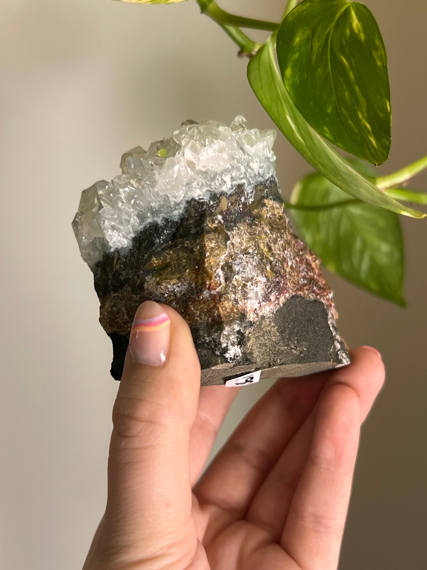 Apophyllite Cluster - I