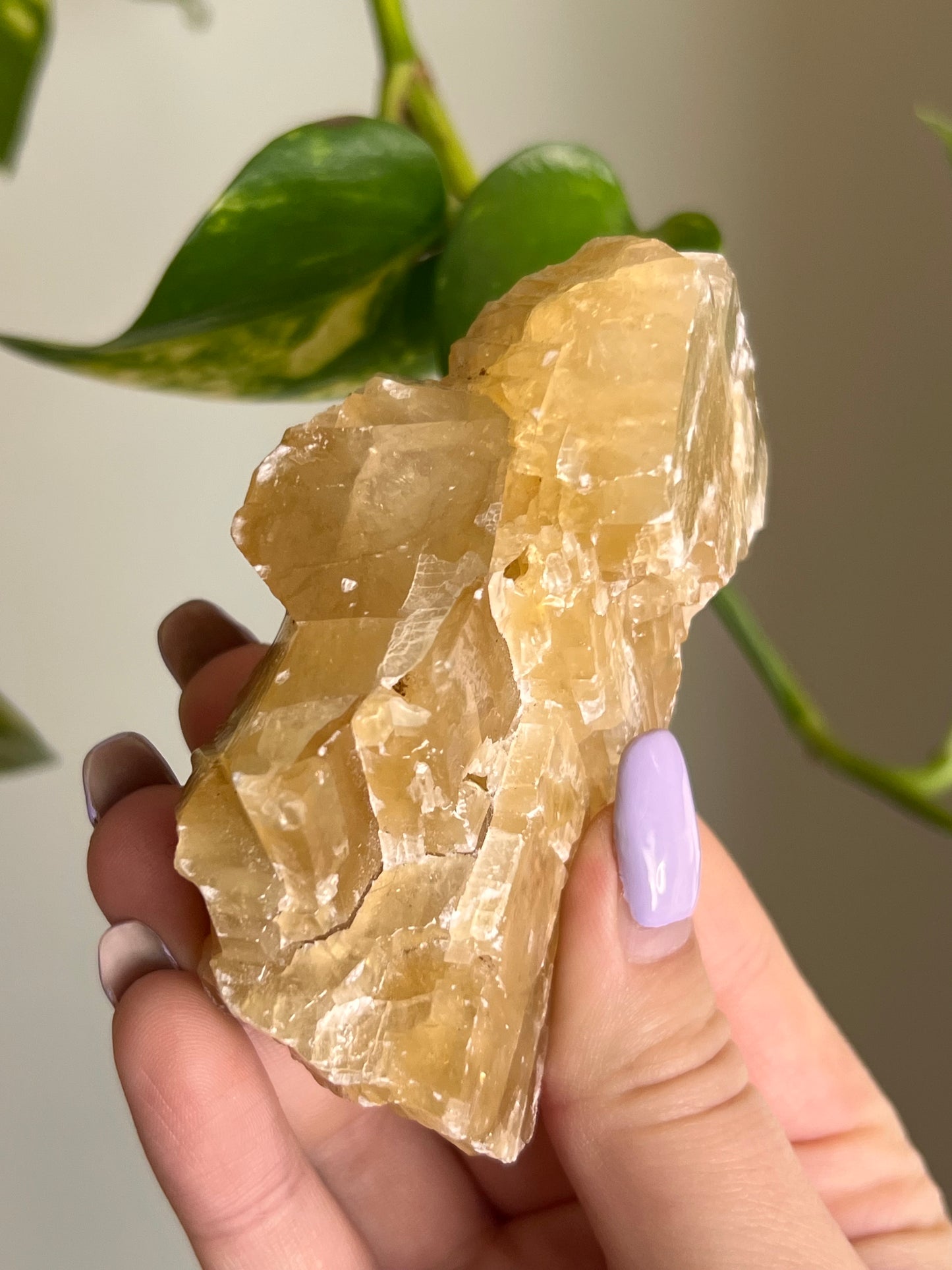 Honey Calcite Raw