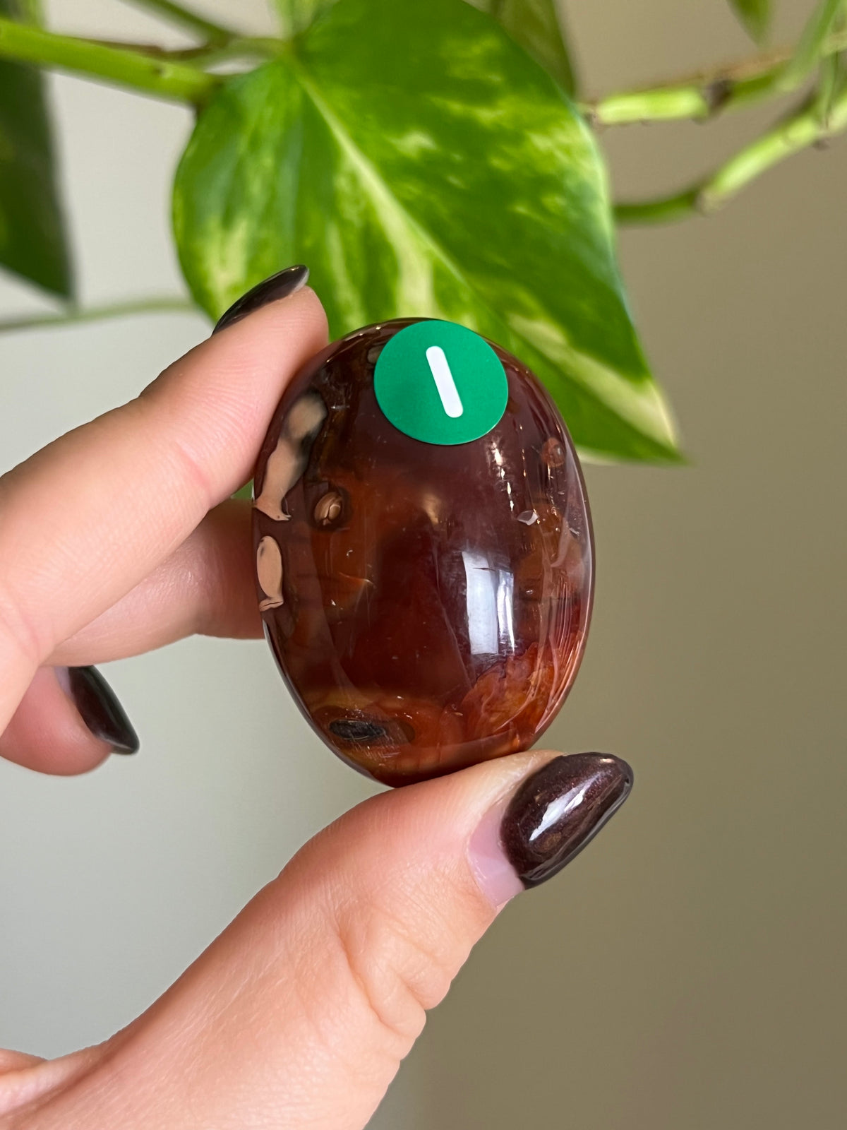 Carnelian Small Palm Stone - i