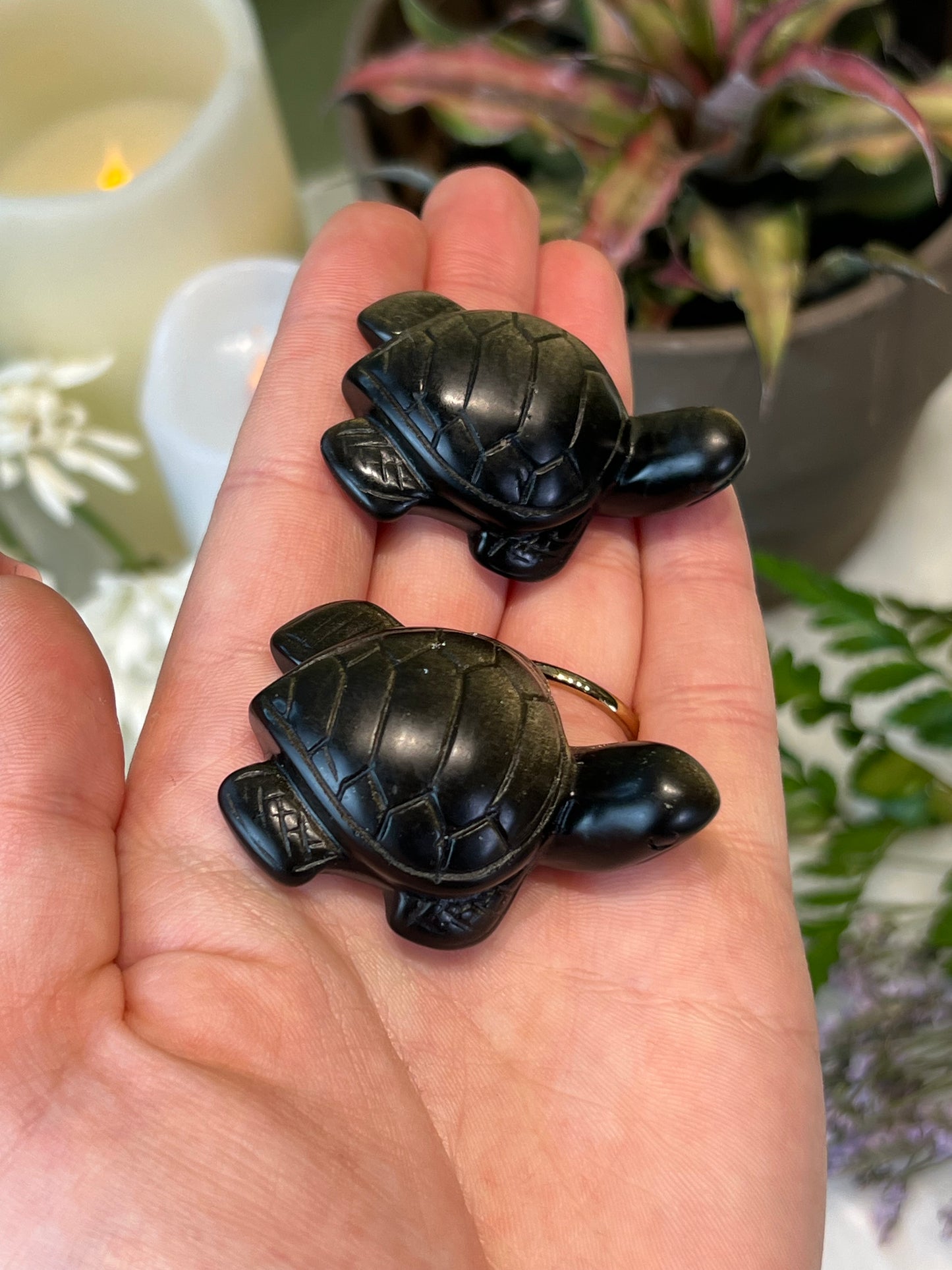 Gold Sheen Obsidian Sea Turtle