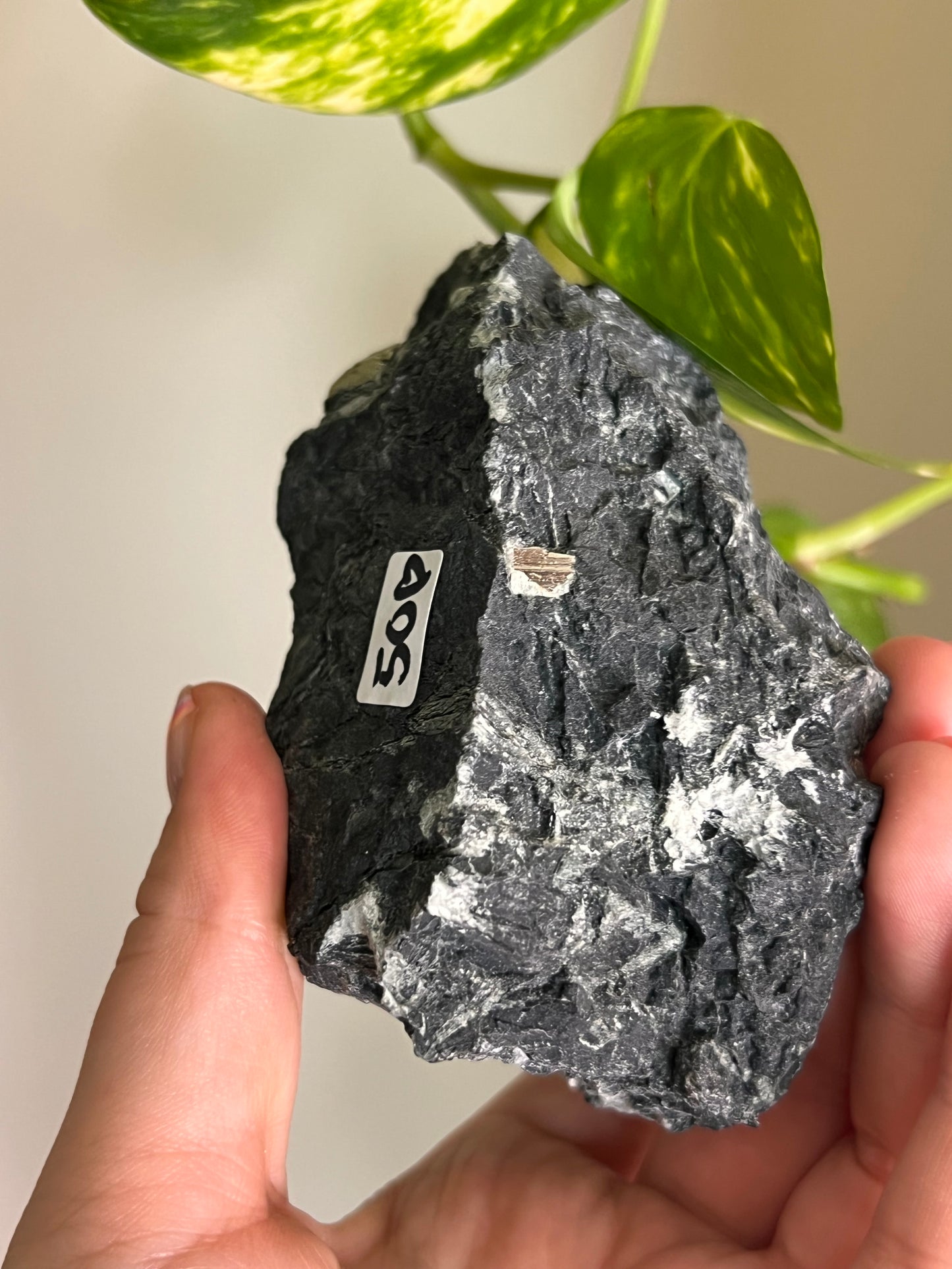 Pyrite on Matrix - Ontario - Large