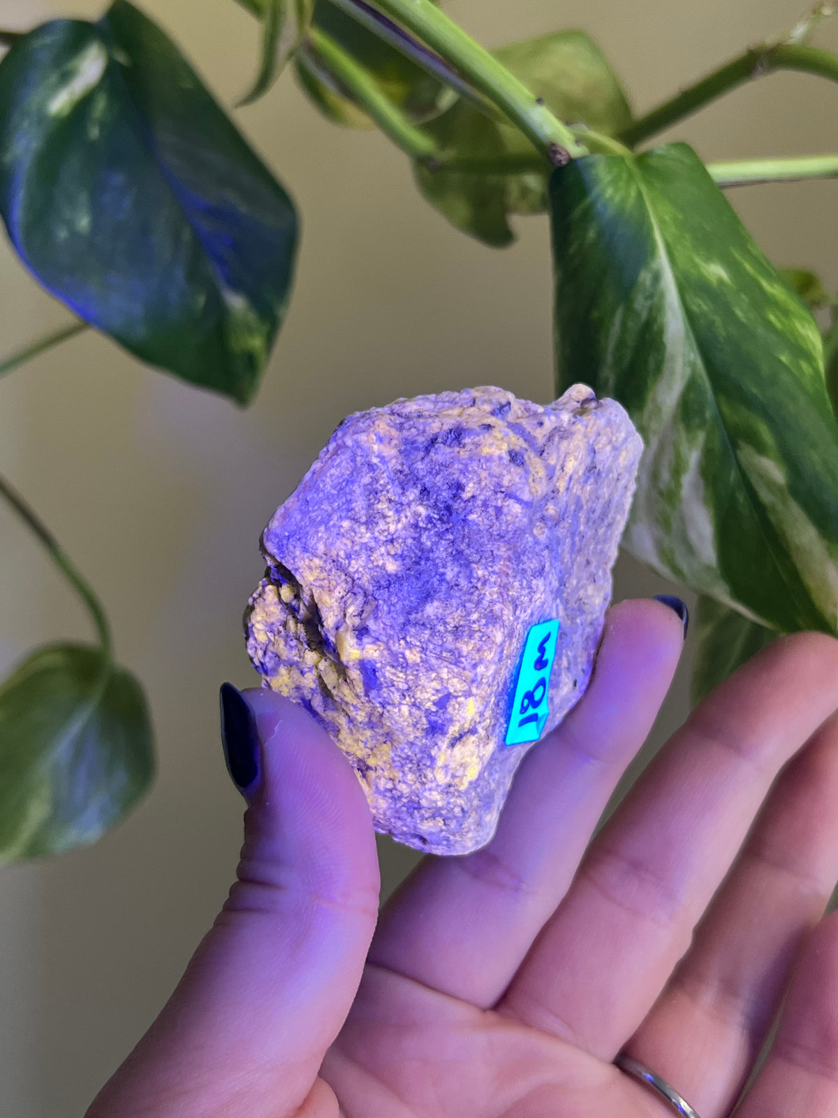 UV Reactive Meionite Scapolite Specimen - M