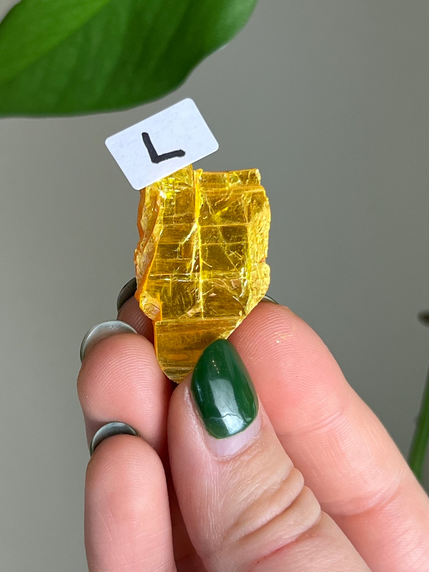 Orpiment Specimen - RARE - L