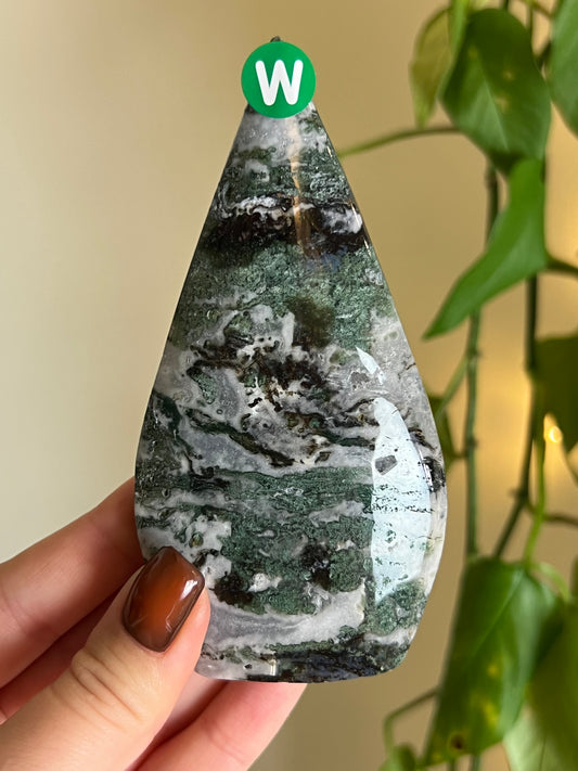 Moss Agate Freeform - W