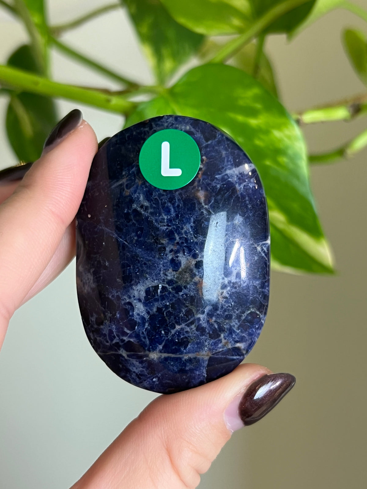 Sodalite Palm Stone - L