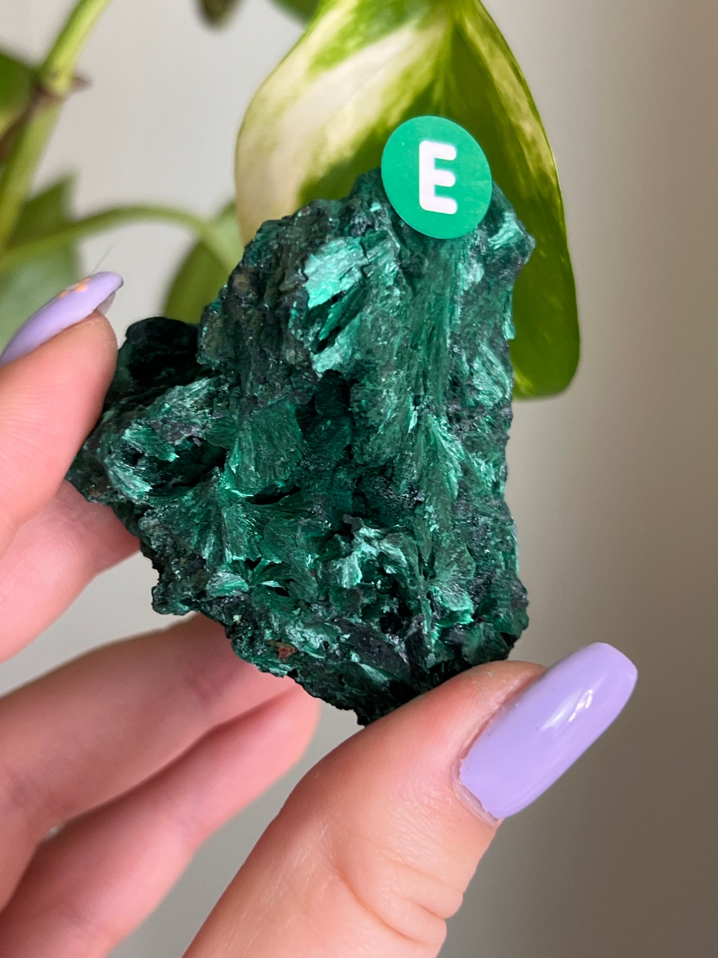 Fibrous Malachite - E