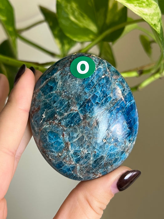 Blue Apatite Large Palm Stone - 0