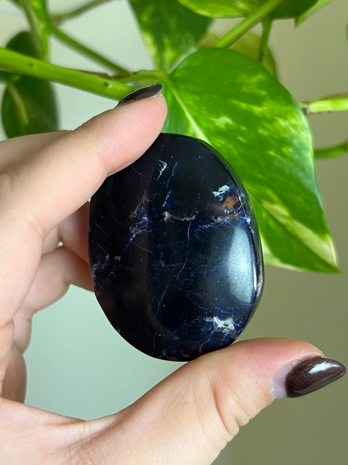 Sodalite Palm Stone - K