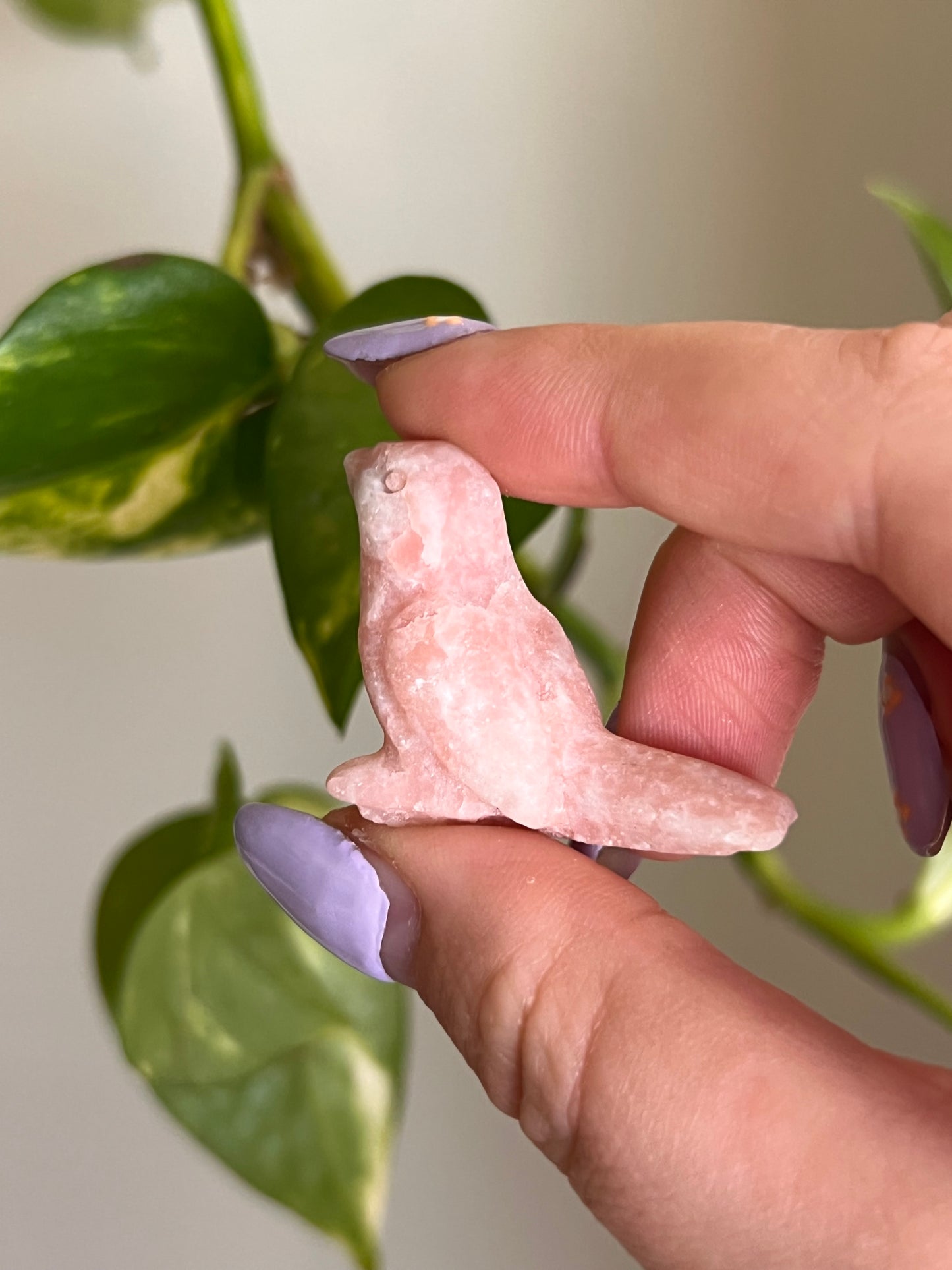 Pink Opal Bird
