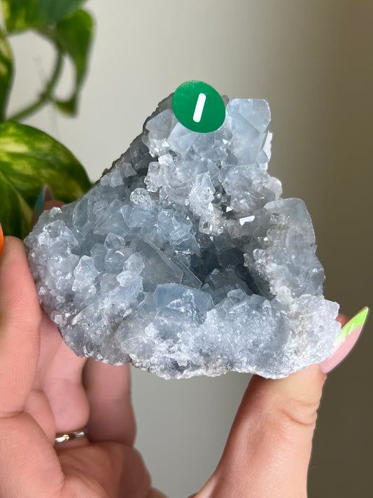 Celestite Cluster - I 🌊