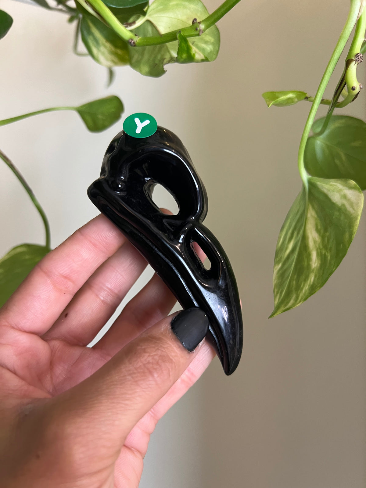 Black Obsidian Raven - Y