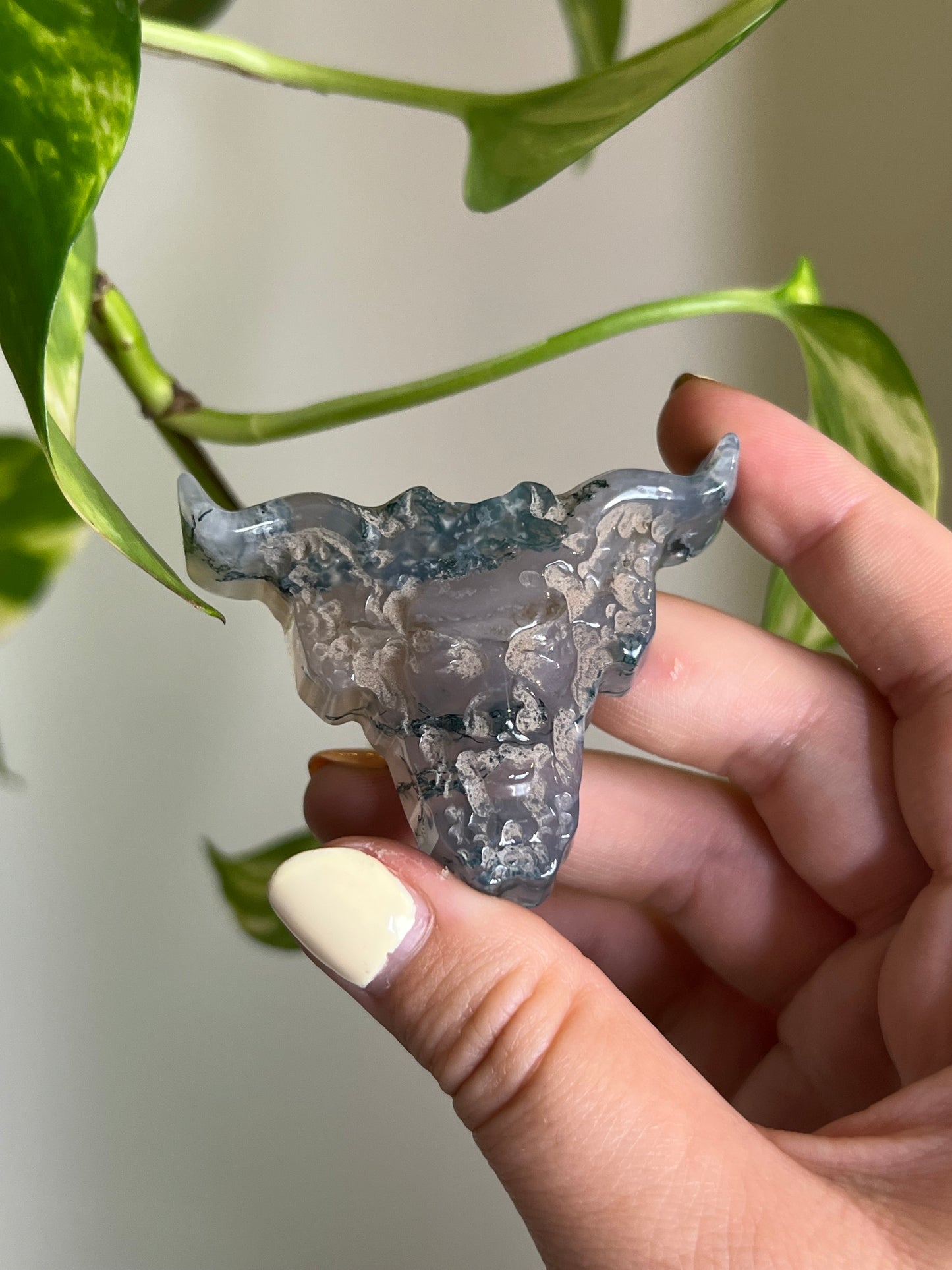 Moss Agate Cow Skull