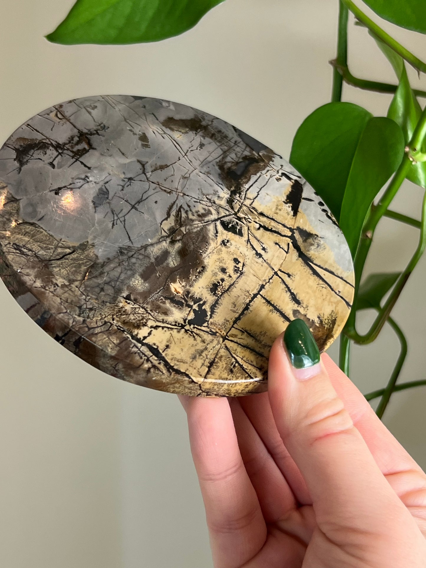 Picture Jasper Large Coaster K