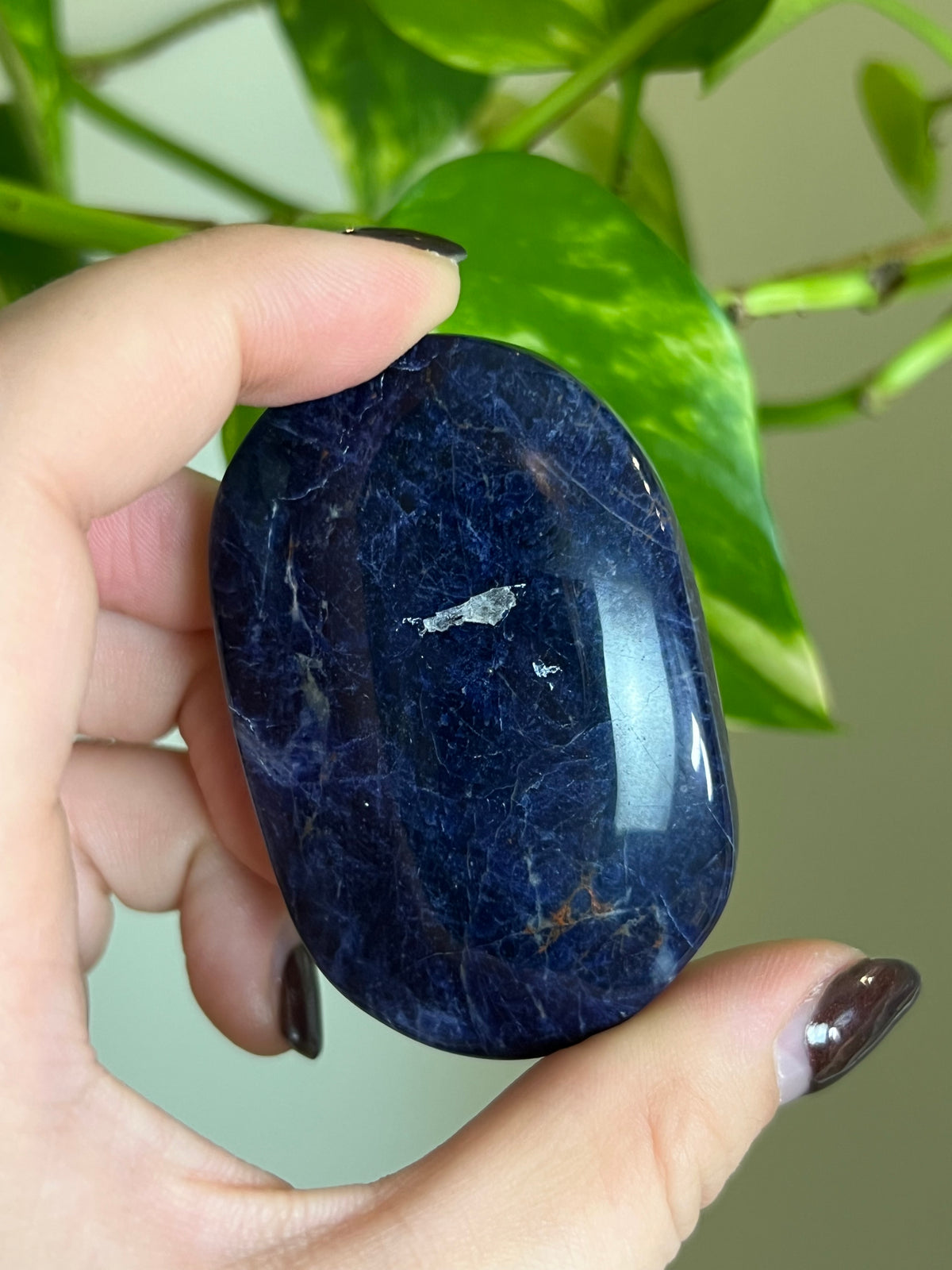 Sodalite Palm Stone - Q