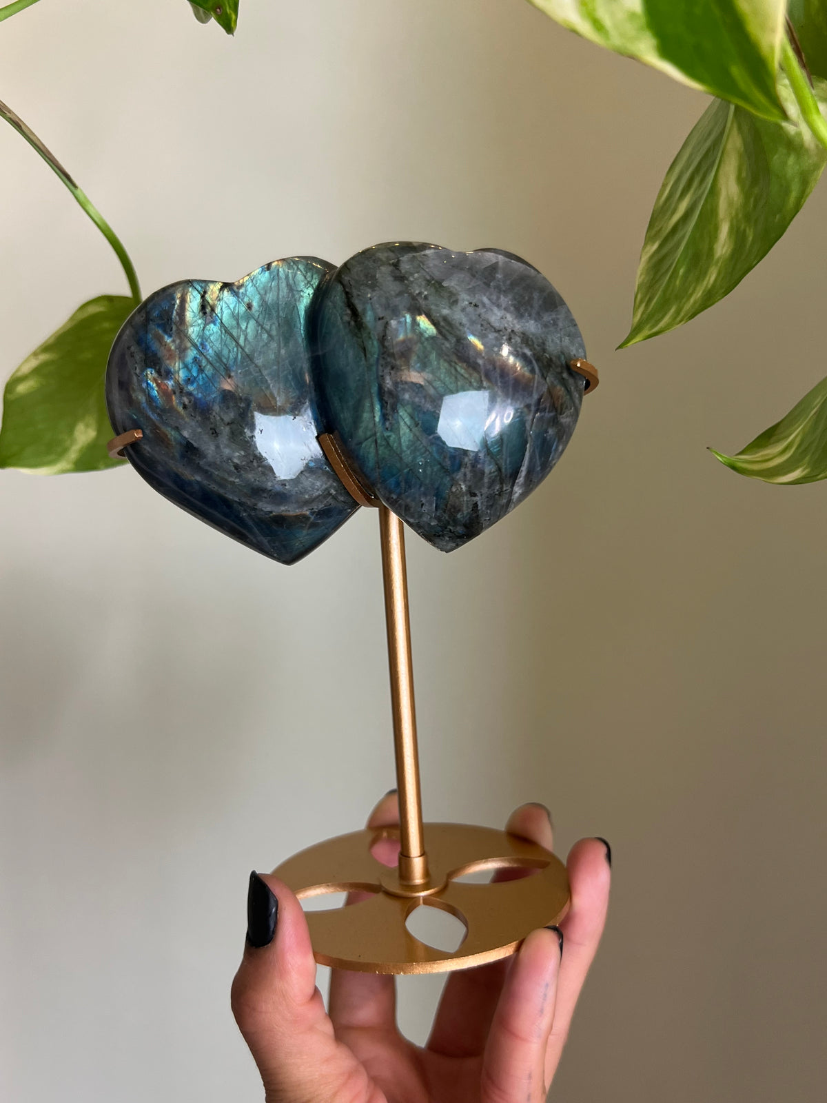 Flashy Labradorite Hugging Heart Duo on Stand