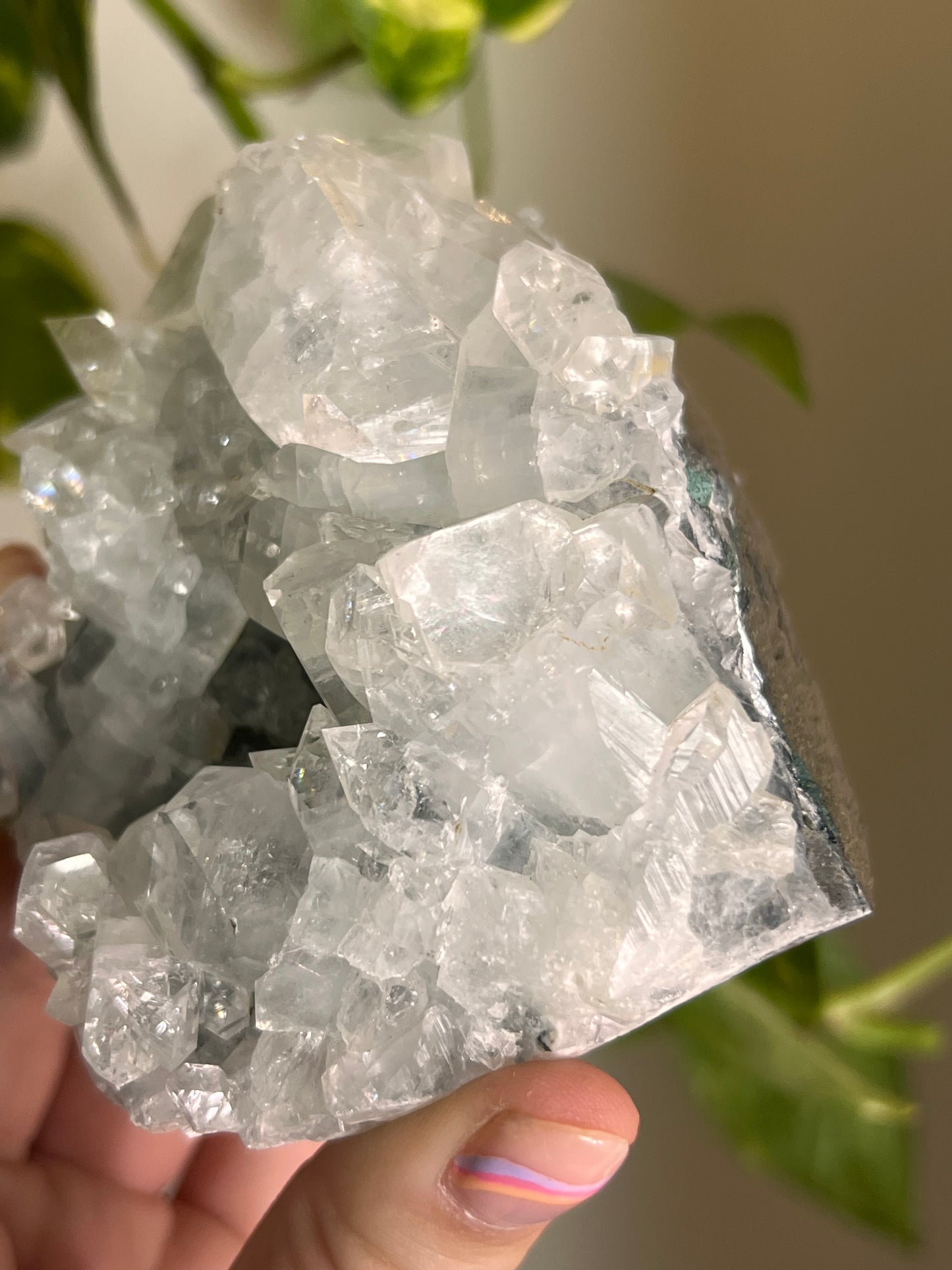 Apophyllite Cluster - Y