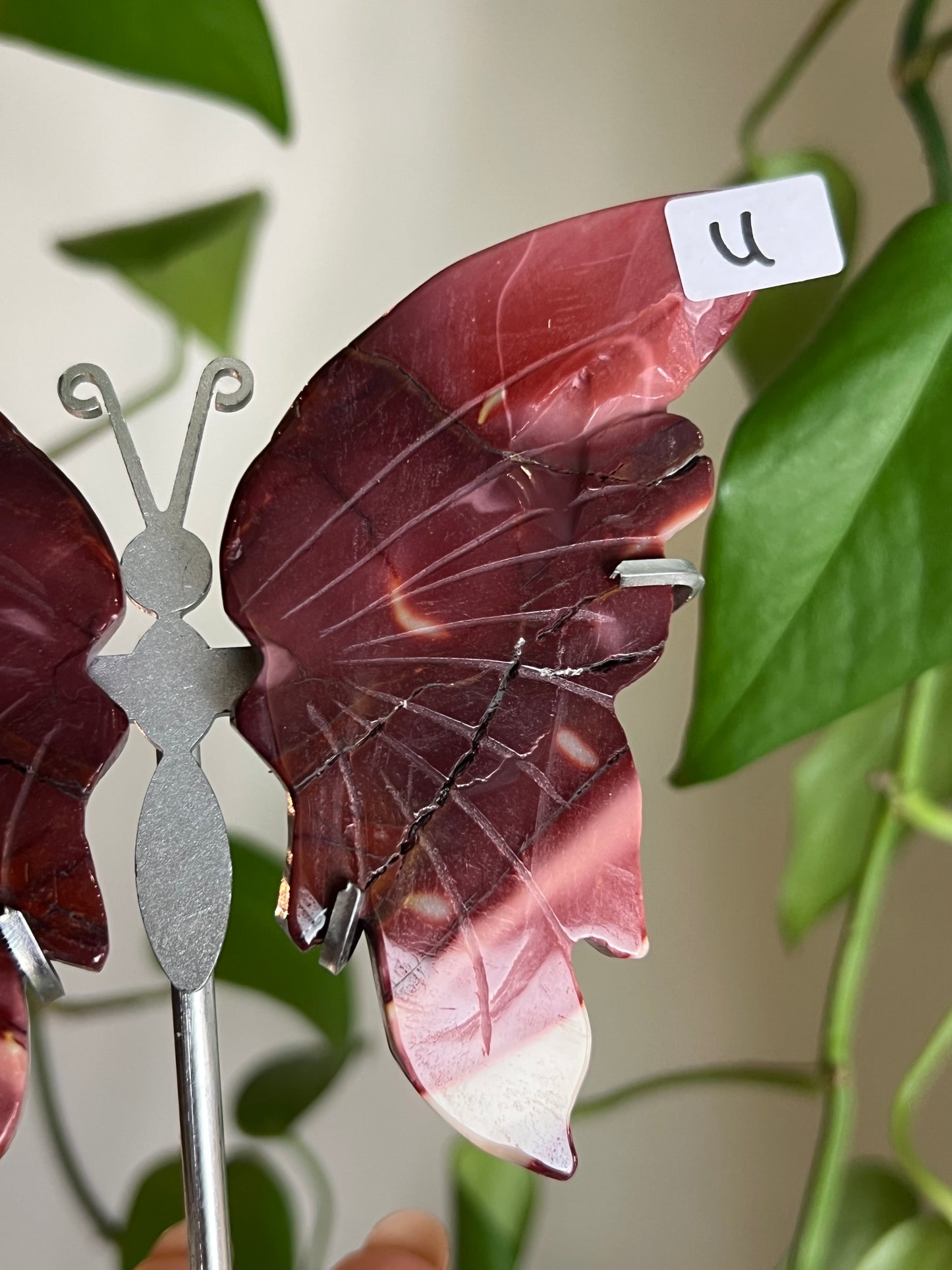 Mookaite Jasper Butterfly Stand - U