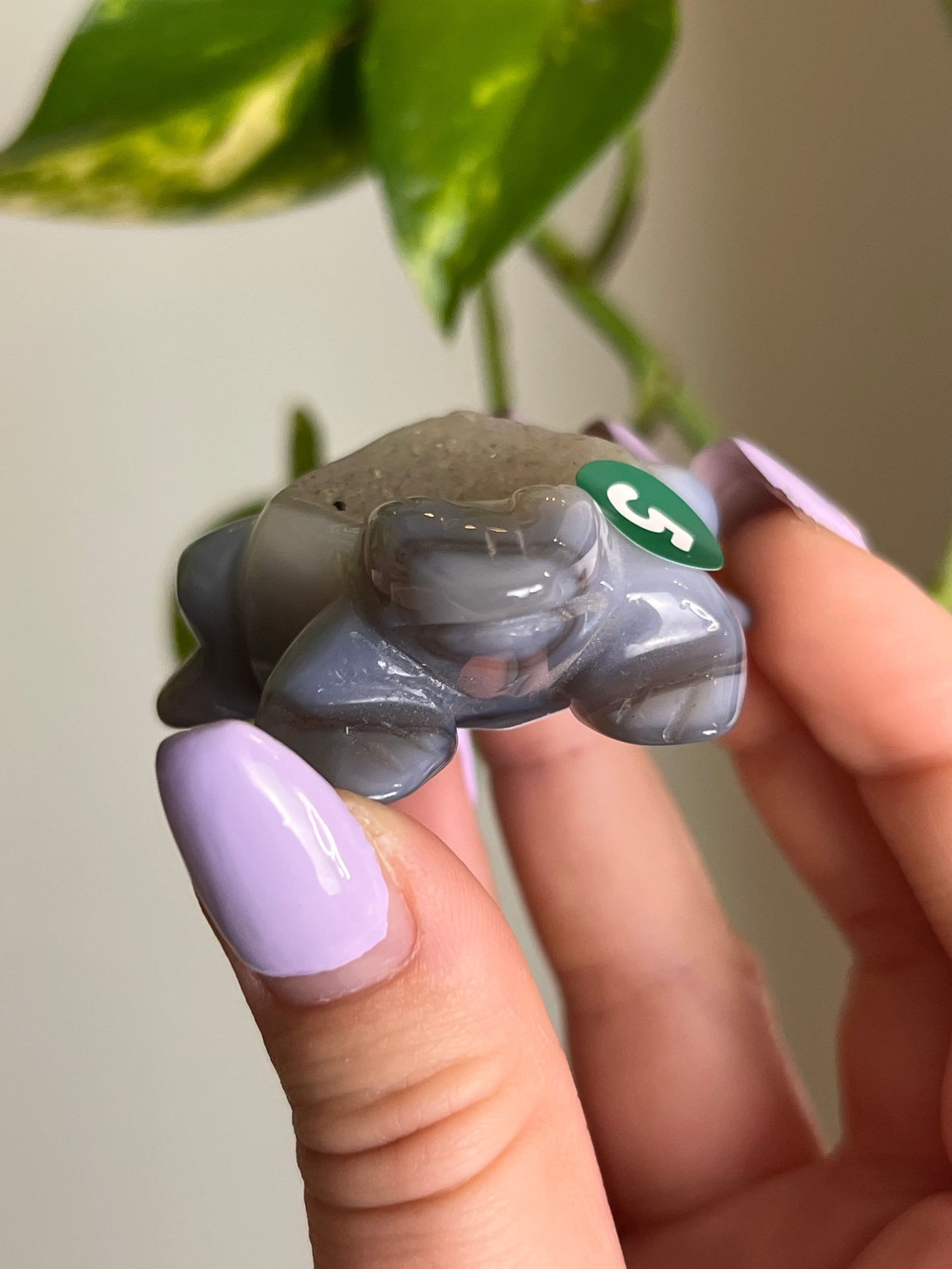 Druzy Agate Frog - 5