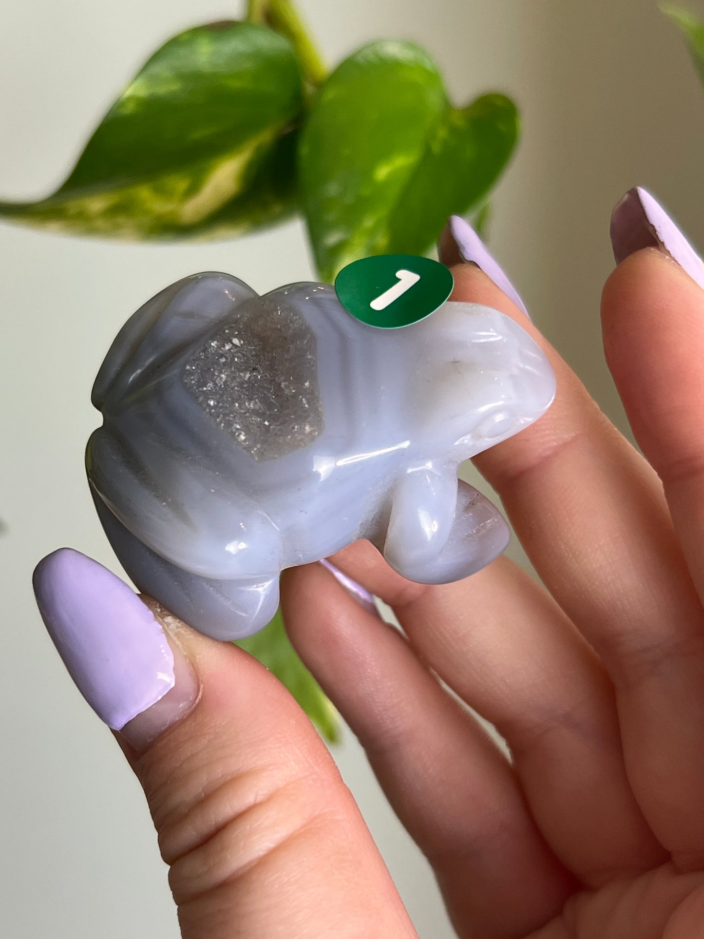 Druzy Agate Frog - 1