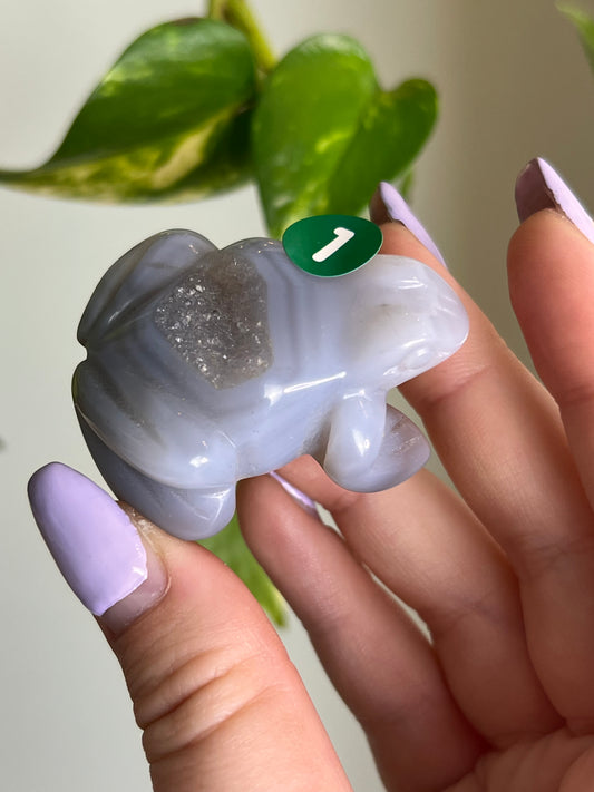 Druzy Agate Frog - 1