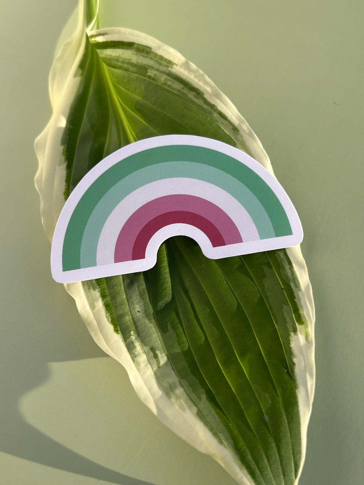 Abrosexual Rainbow Sticker