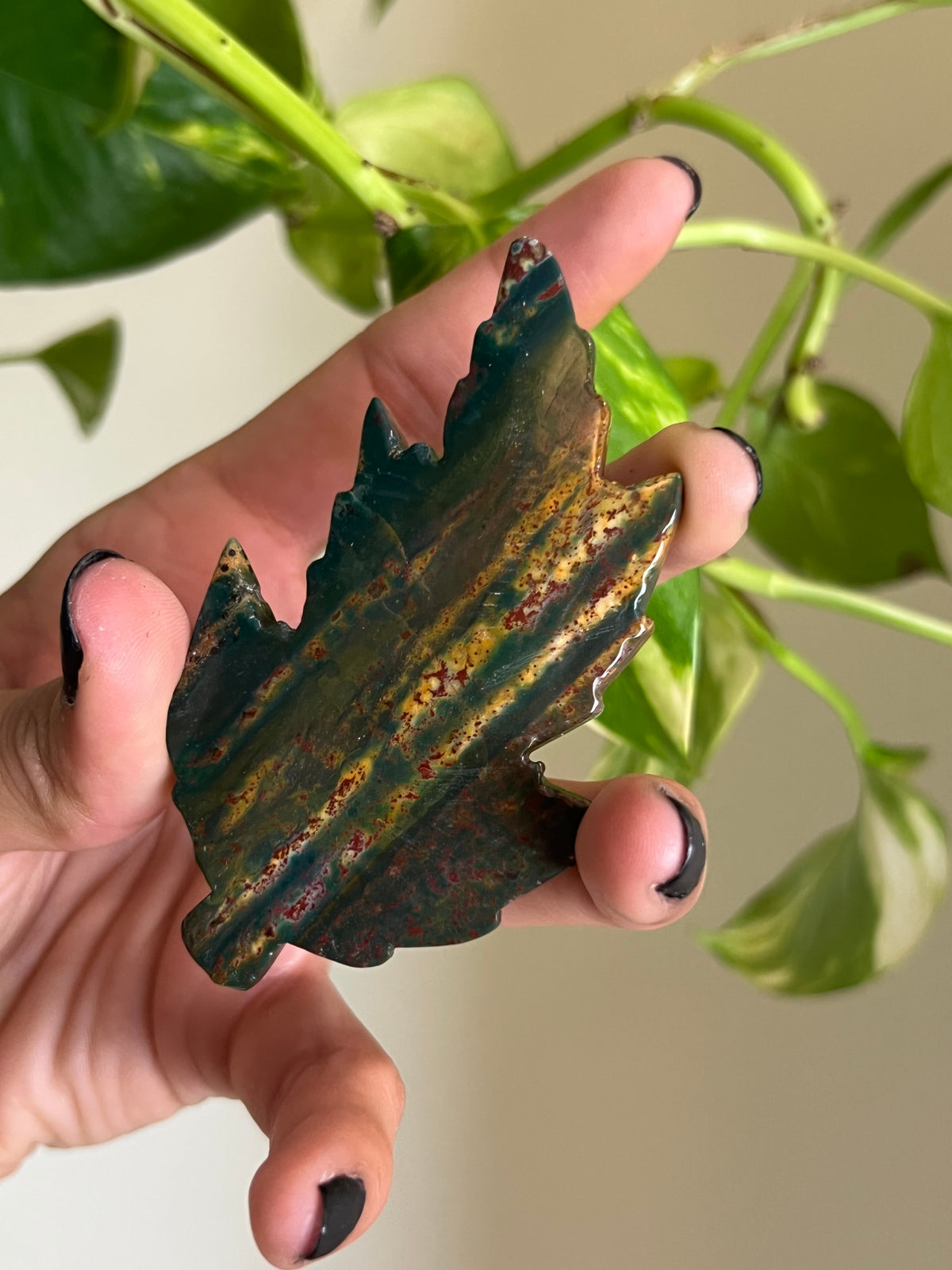 Ocean Jasper Leaf 🍂