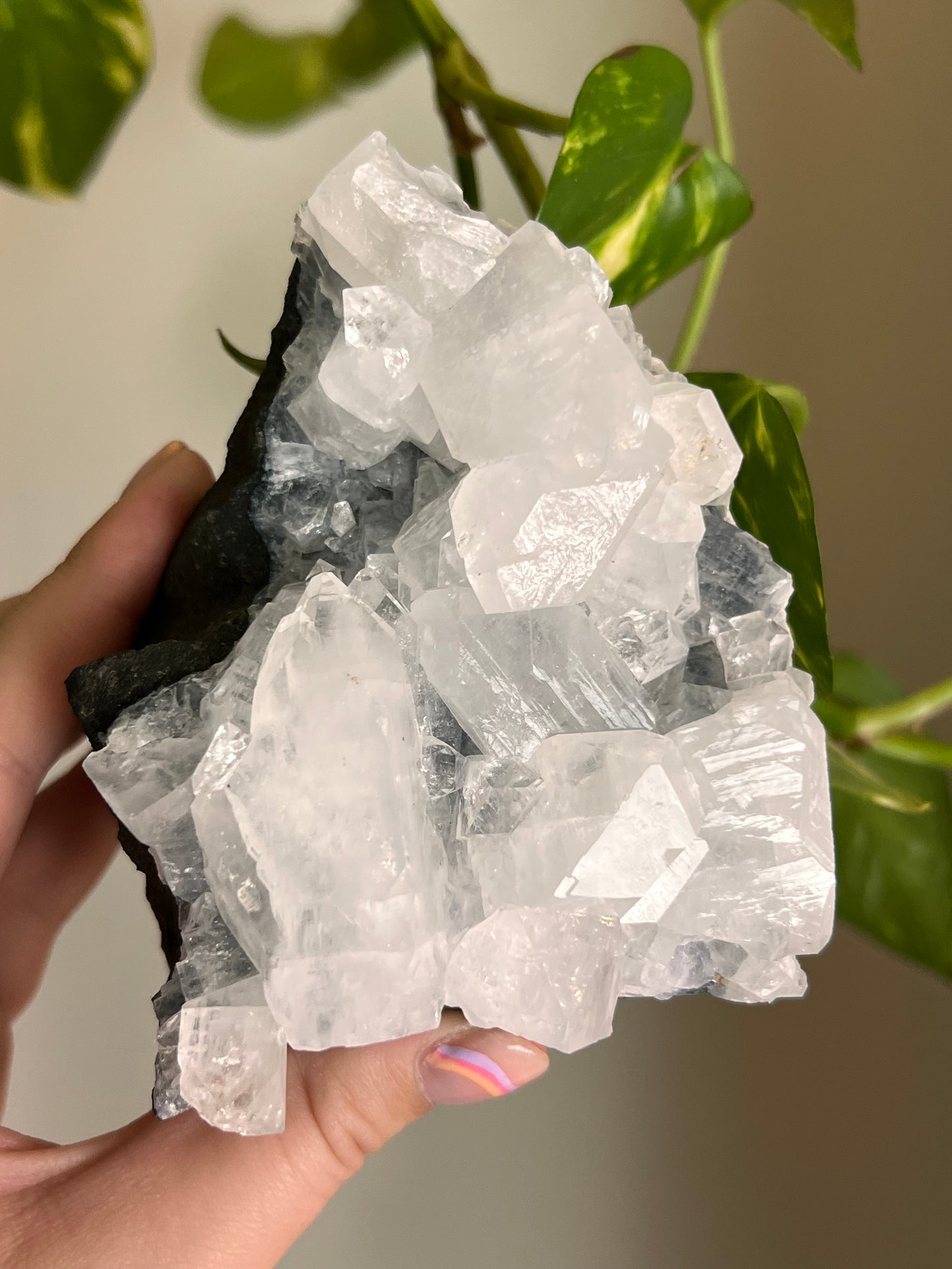 Apophyllite Cluster - H