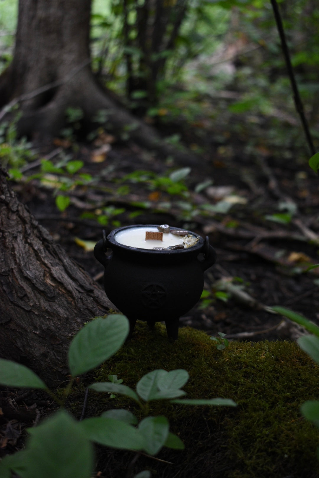 Autumnal Equinox Cauldron Candle | Green Tea + Warm Cedar 🍂