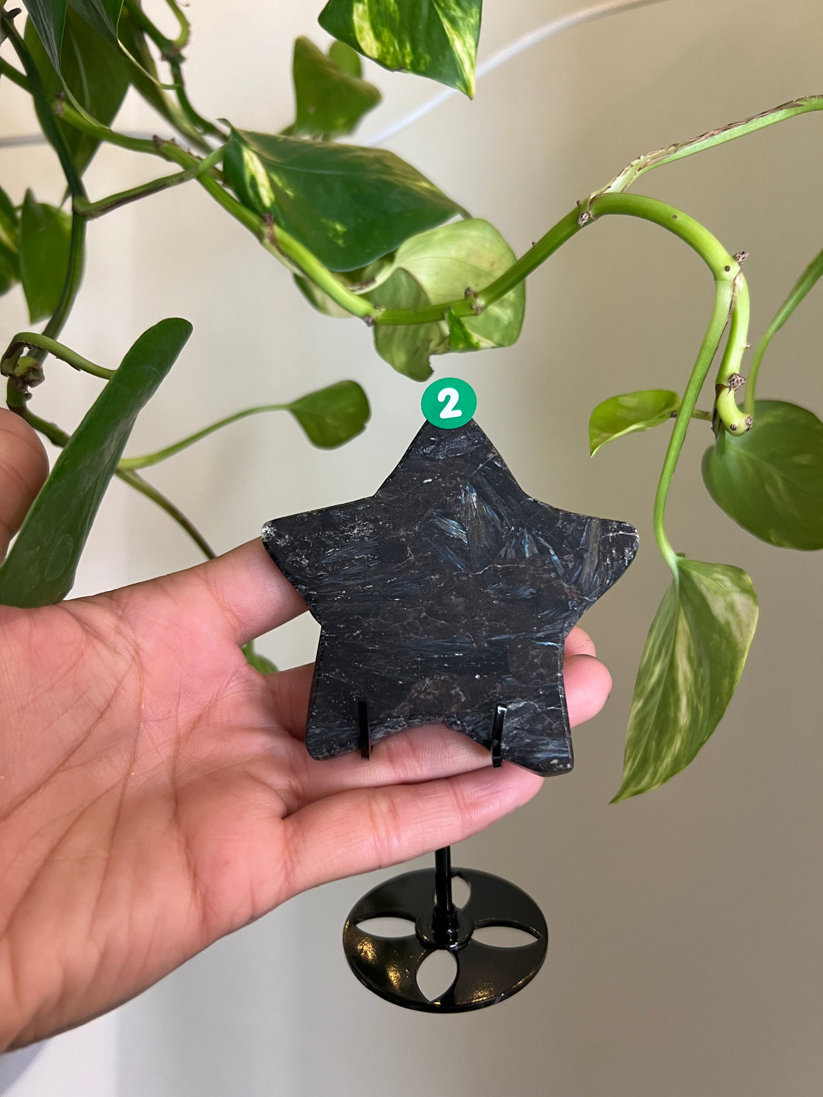 Flashy Astrophyllite Star on Stand - 2