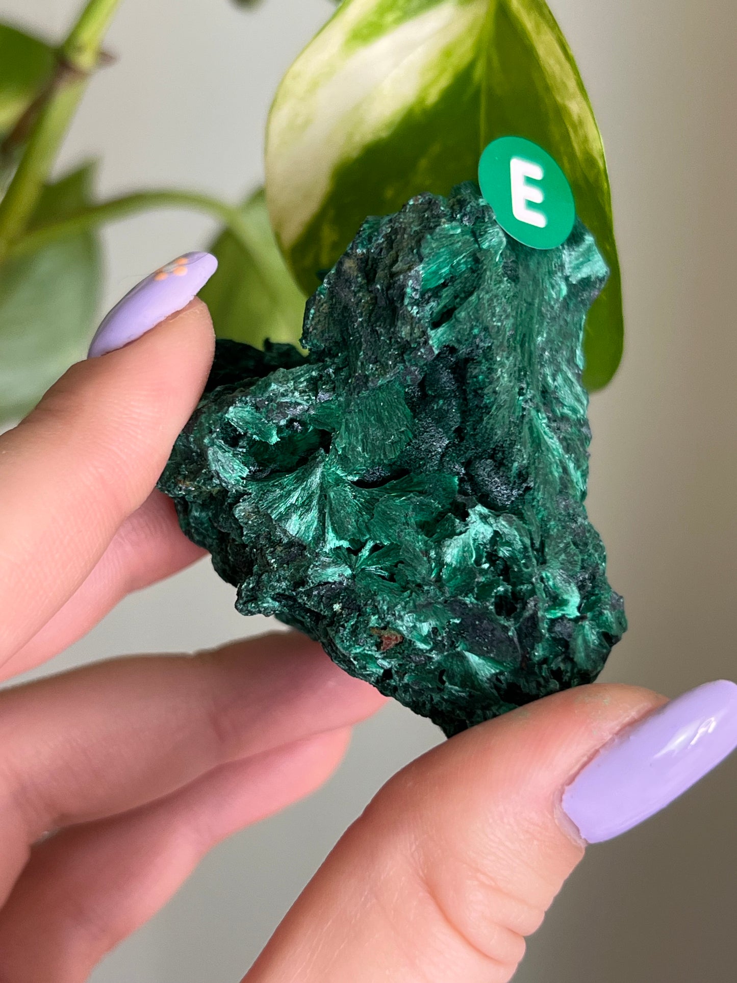 Fibrous Malachite - E