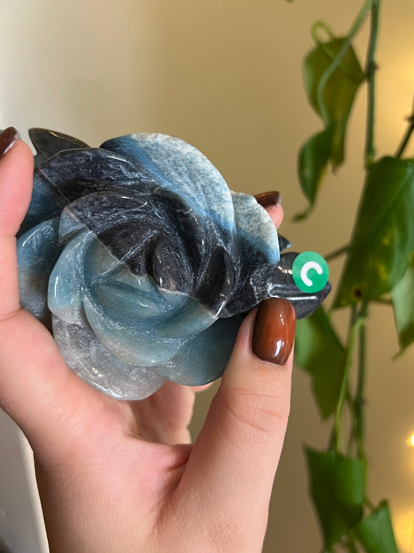 * Imperfect *Trolleite Large Flower - C