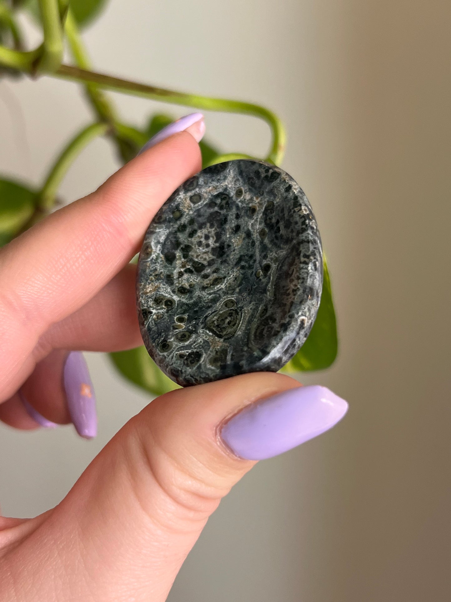 Kambaba Jasper Worry Stone