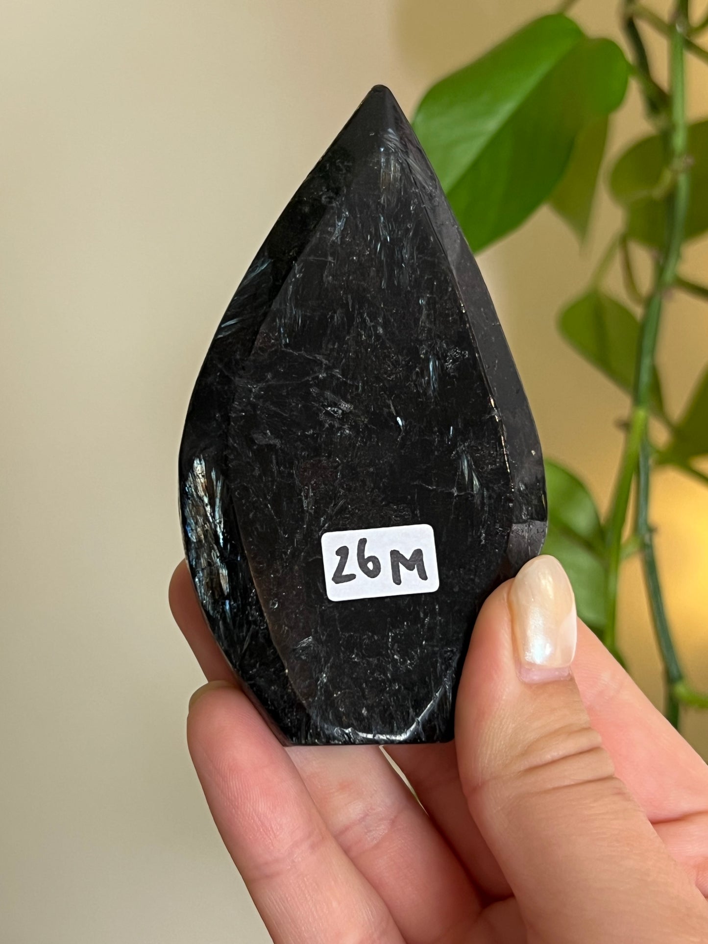 Astrophyllite on Matrix Freeform - M