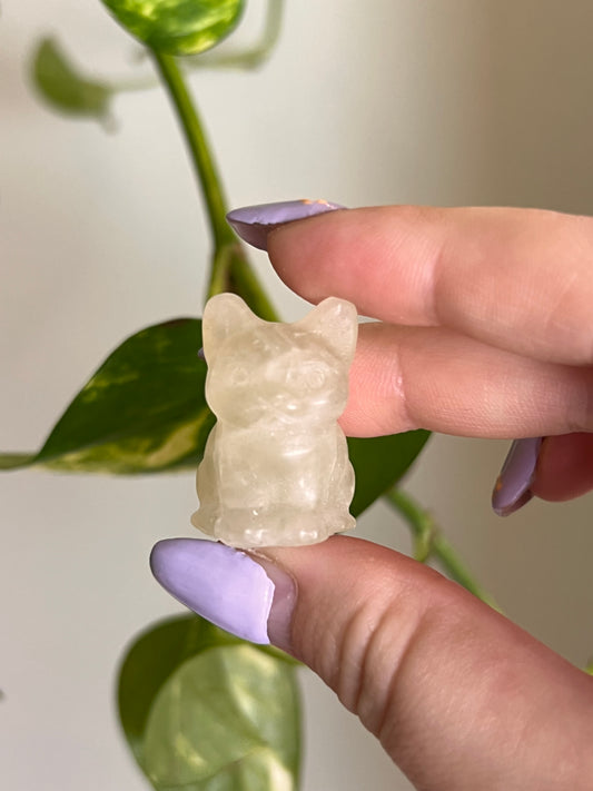 Lemon Quartz Cat