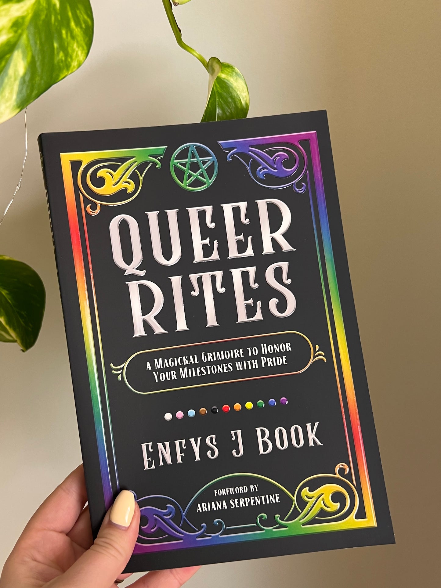 Queer Rites Book