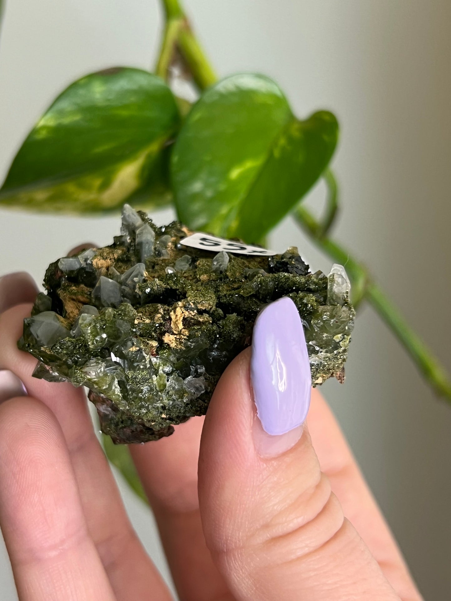 Forest Epidote Quartz Cluster - X