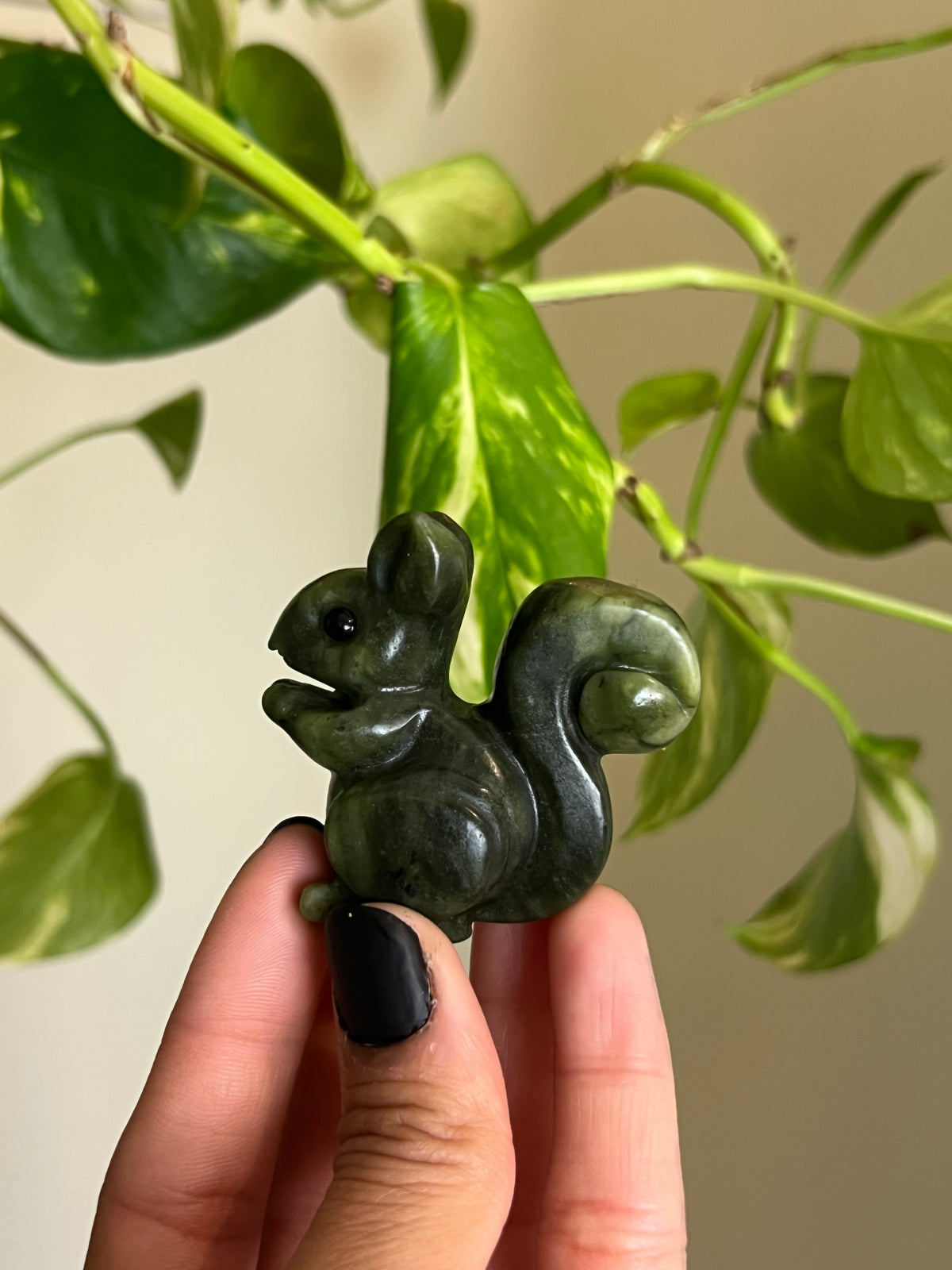 Jade Squirrel - Intuitively Chosen