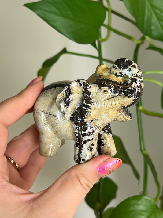Picture Jasper Elephant - M