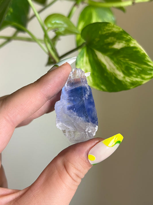 Blue Halite Specimen - Z