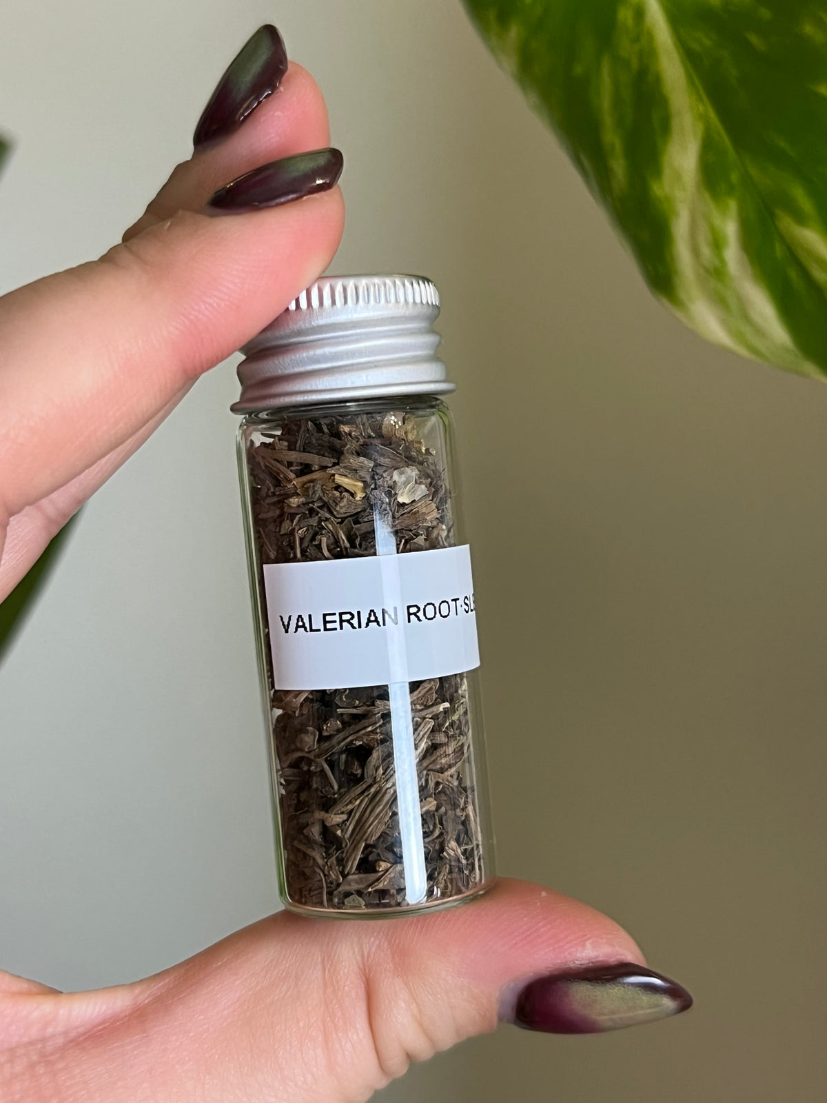 Valerian Root Herb Vial - Sleep + Communication