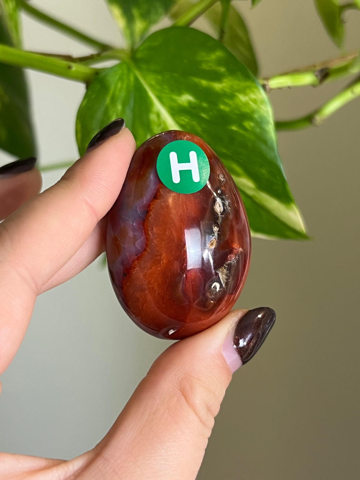 Carnelian Small Palm Stone - H