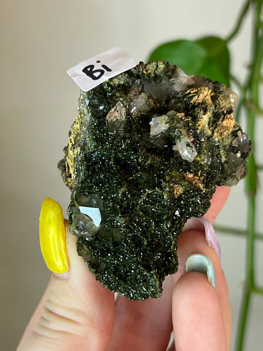Forest Epidote Quartz Cluster - Bi