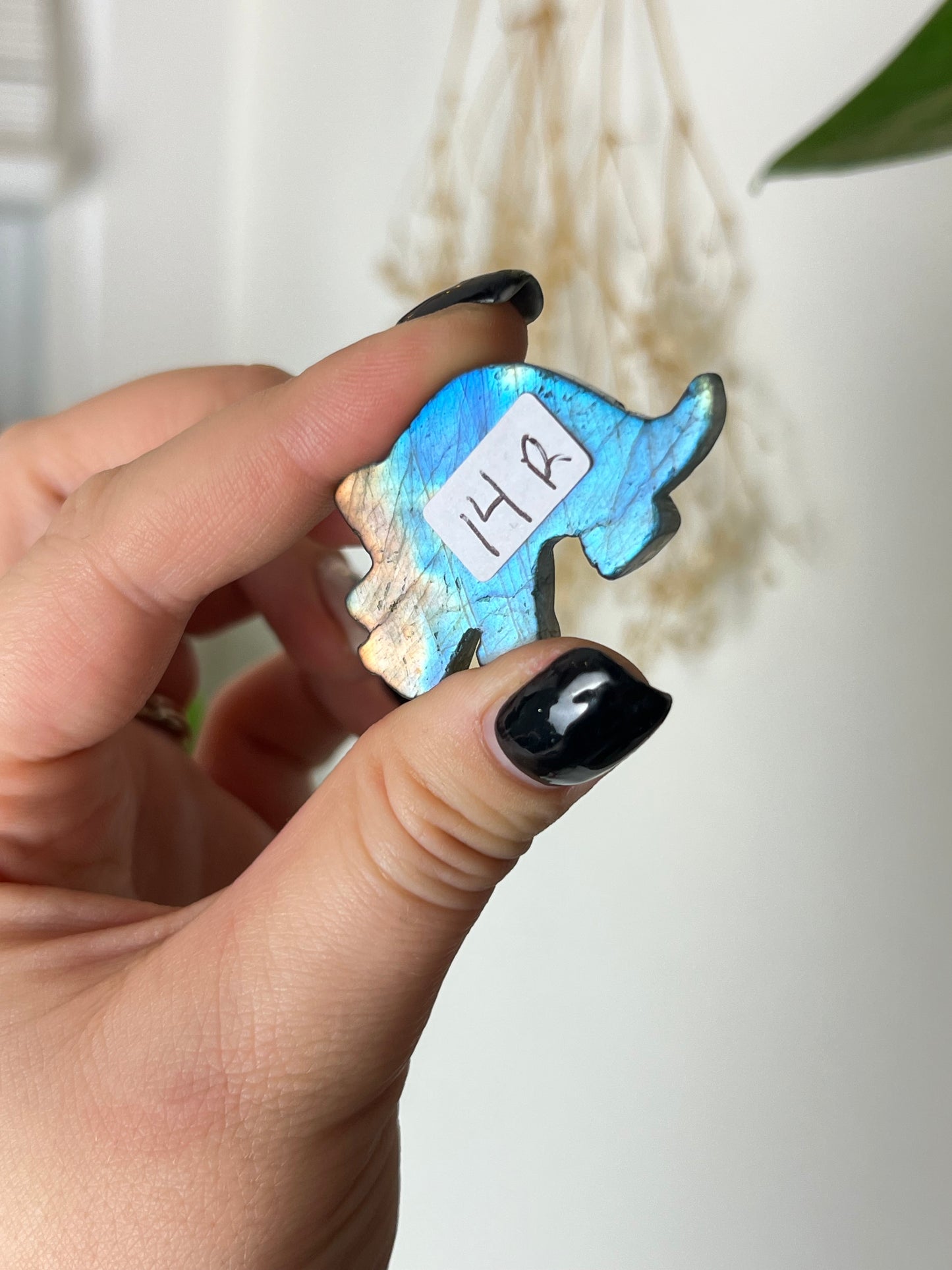 Flashy Labradorite Triceratops