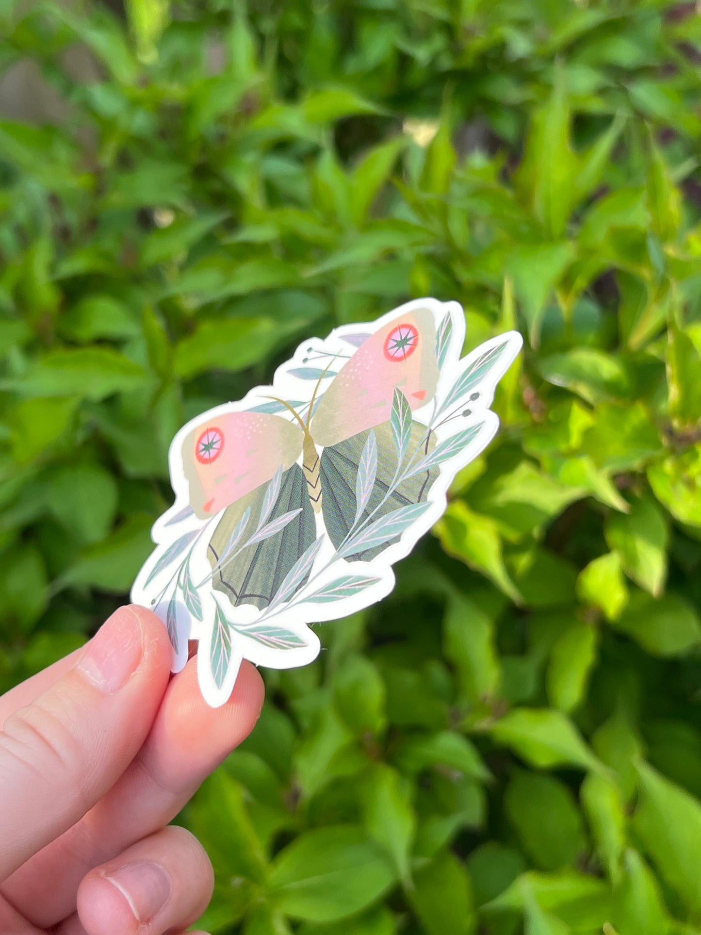 Lepidoptera Sticker