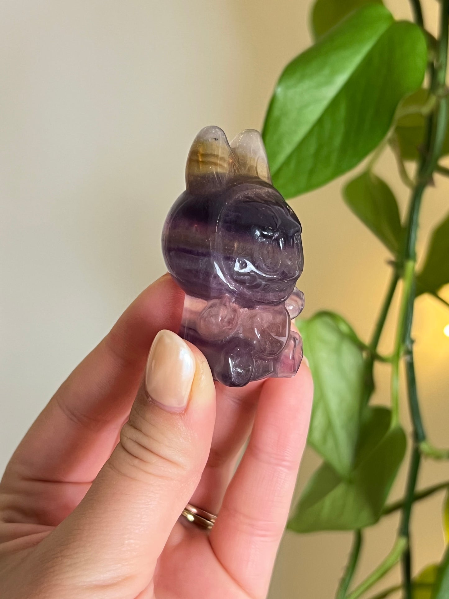 Purple & Yellow Fluorite Lafufu