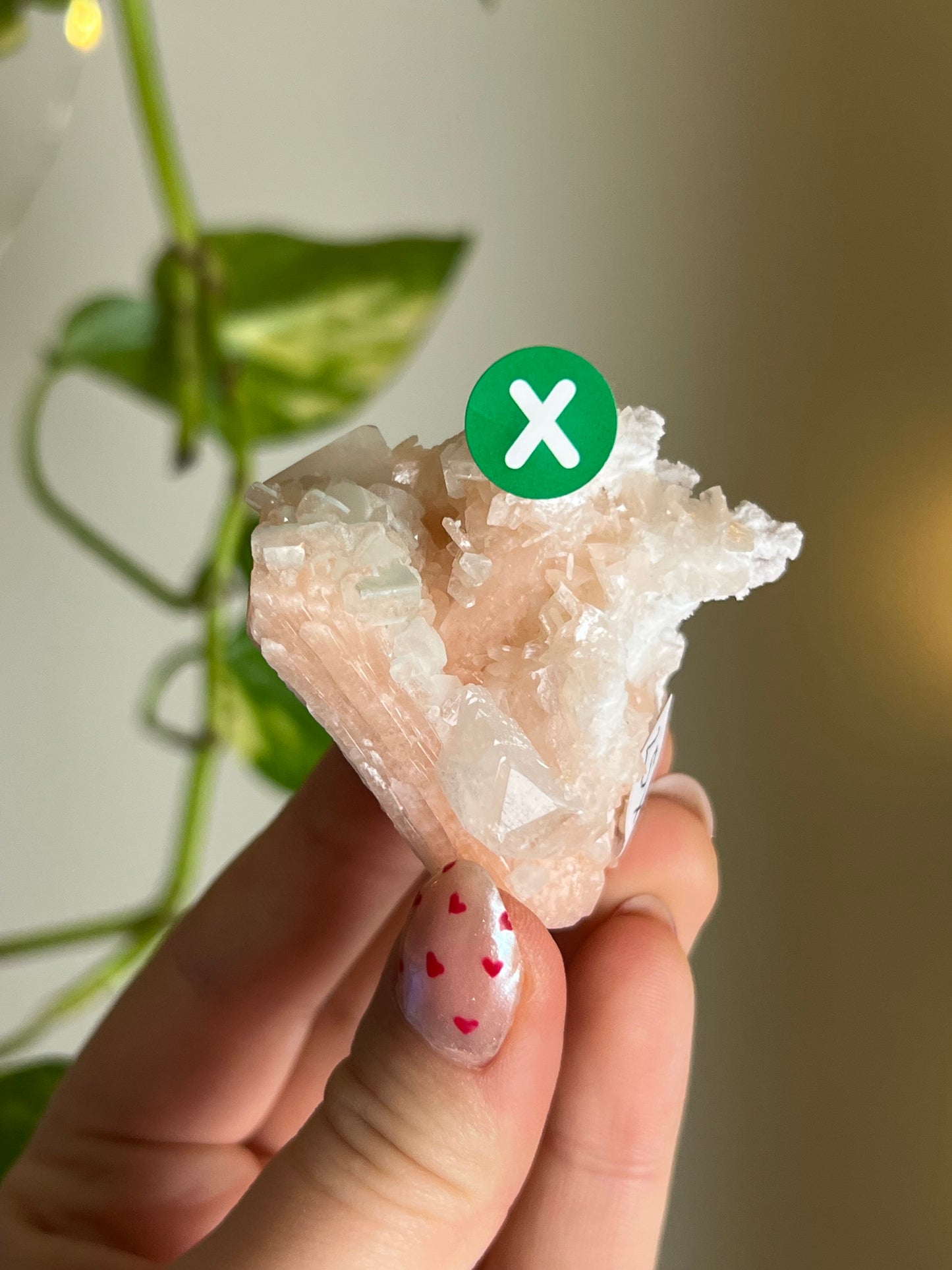 Stilbite x Apophyllite Cluster - X