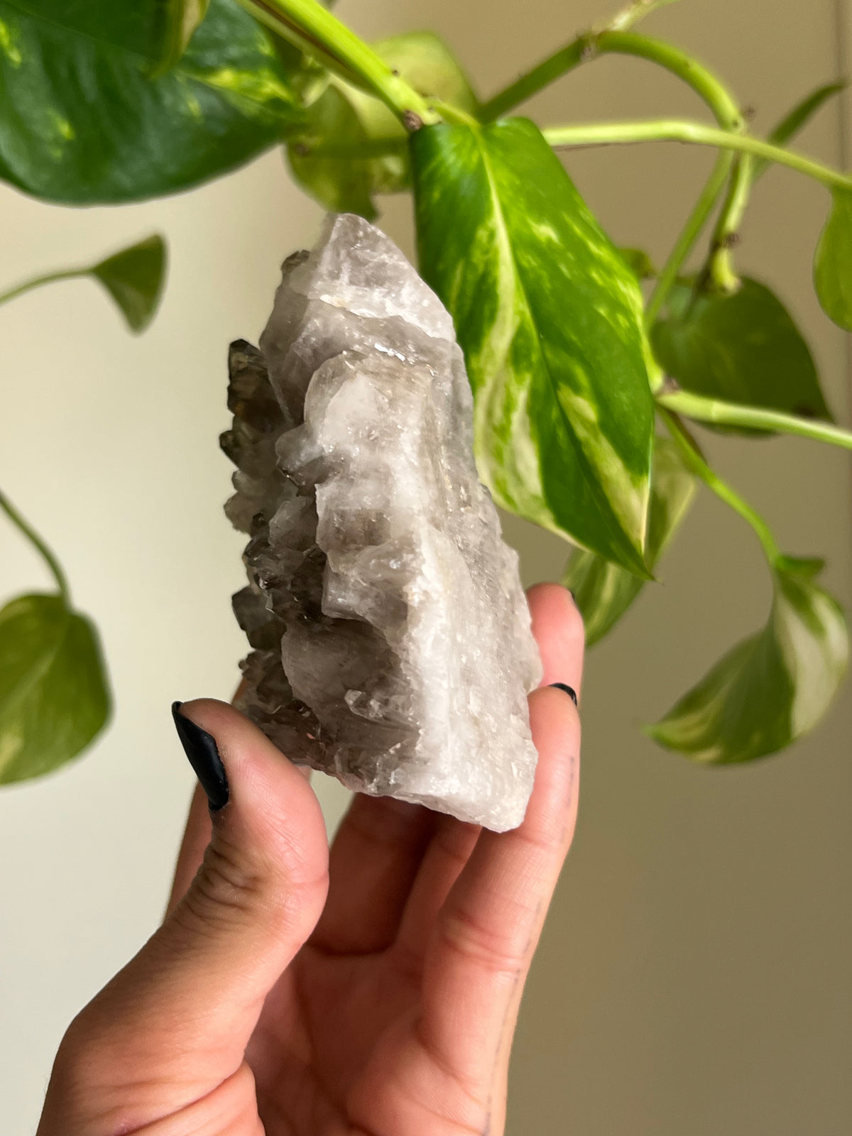 Smoky Quartz Cluster