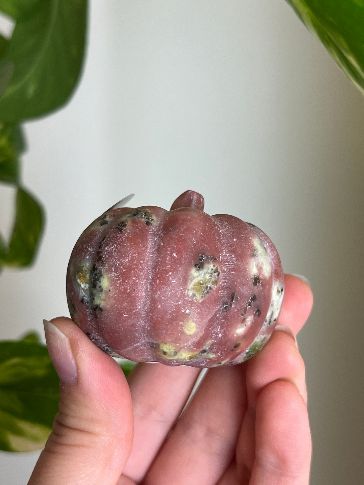 Plum Blossom Tourmaline x Serpentine Pumpkin - Q